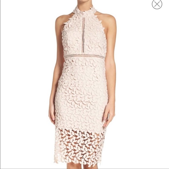 Bardot Gemma Lace Sheath Dress Size 6 - Picture 2 of 11